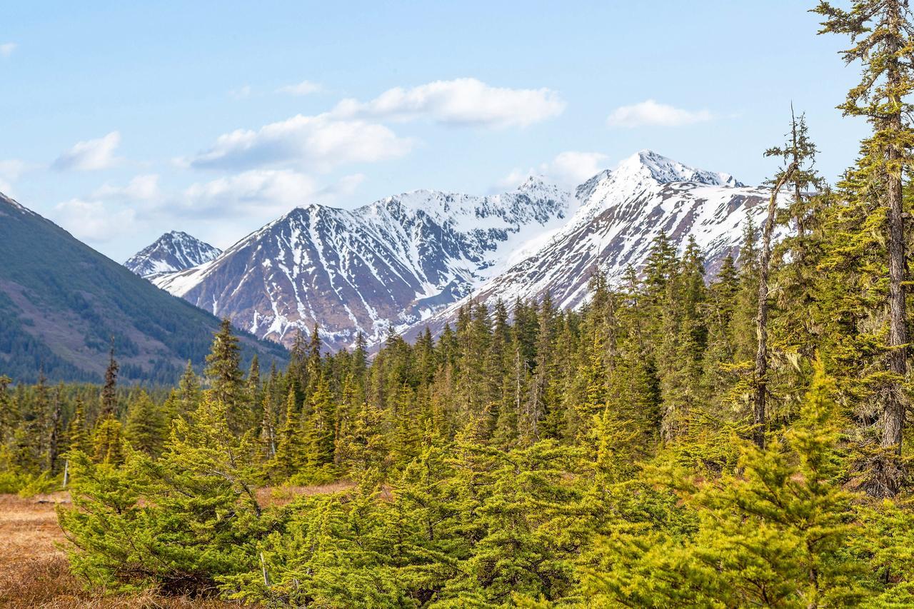 Crow Creek Hotel Girdwood Buitenkant foto